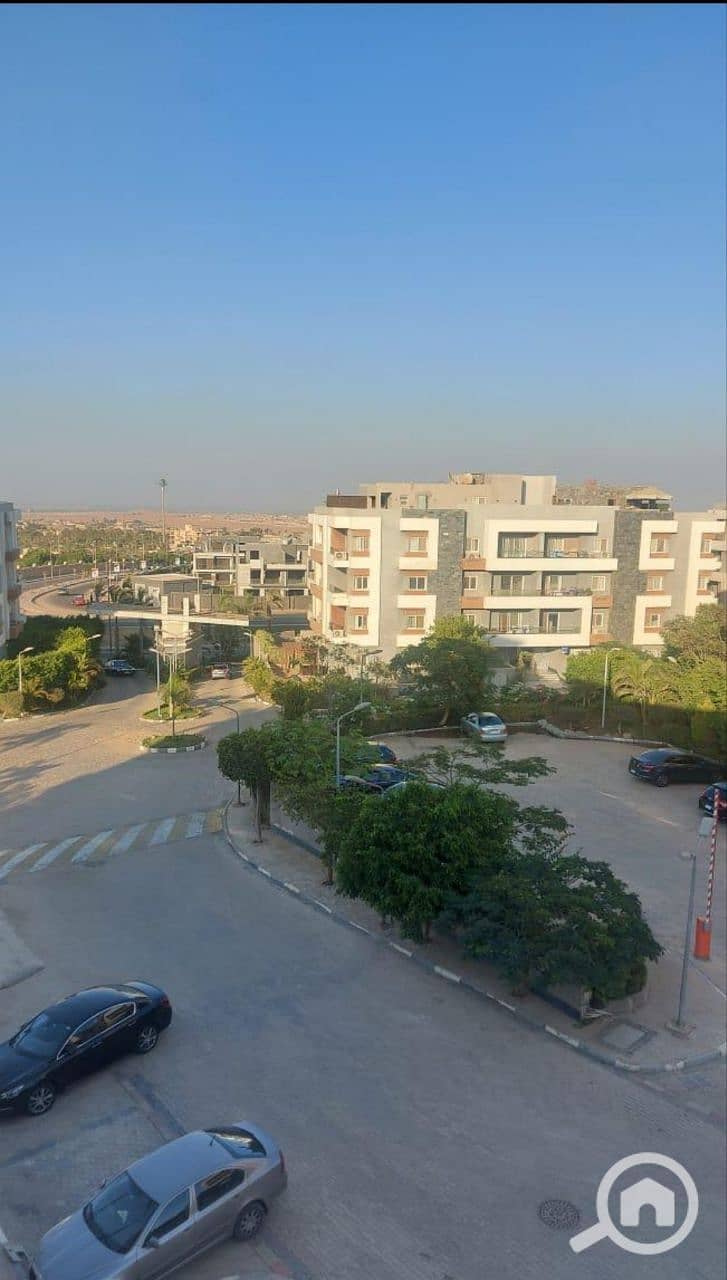 9 photo_4_2026-01-26_11-44-15. jpg