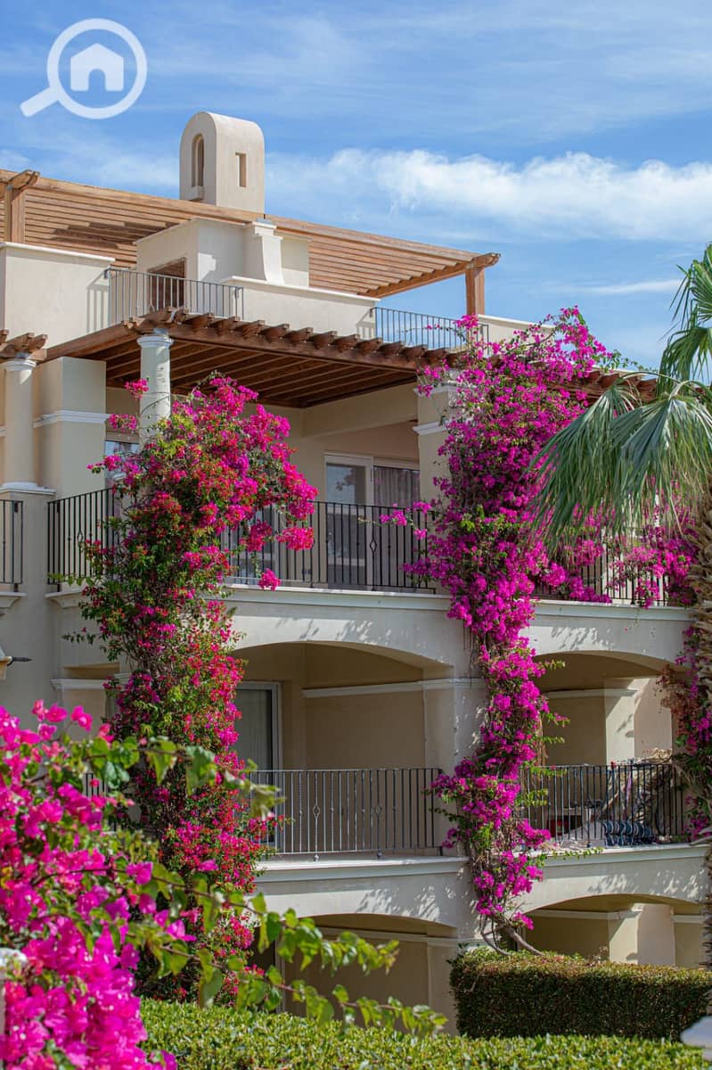 9 IMG-20251026-WA0034. jpg