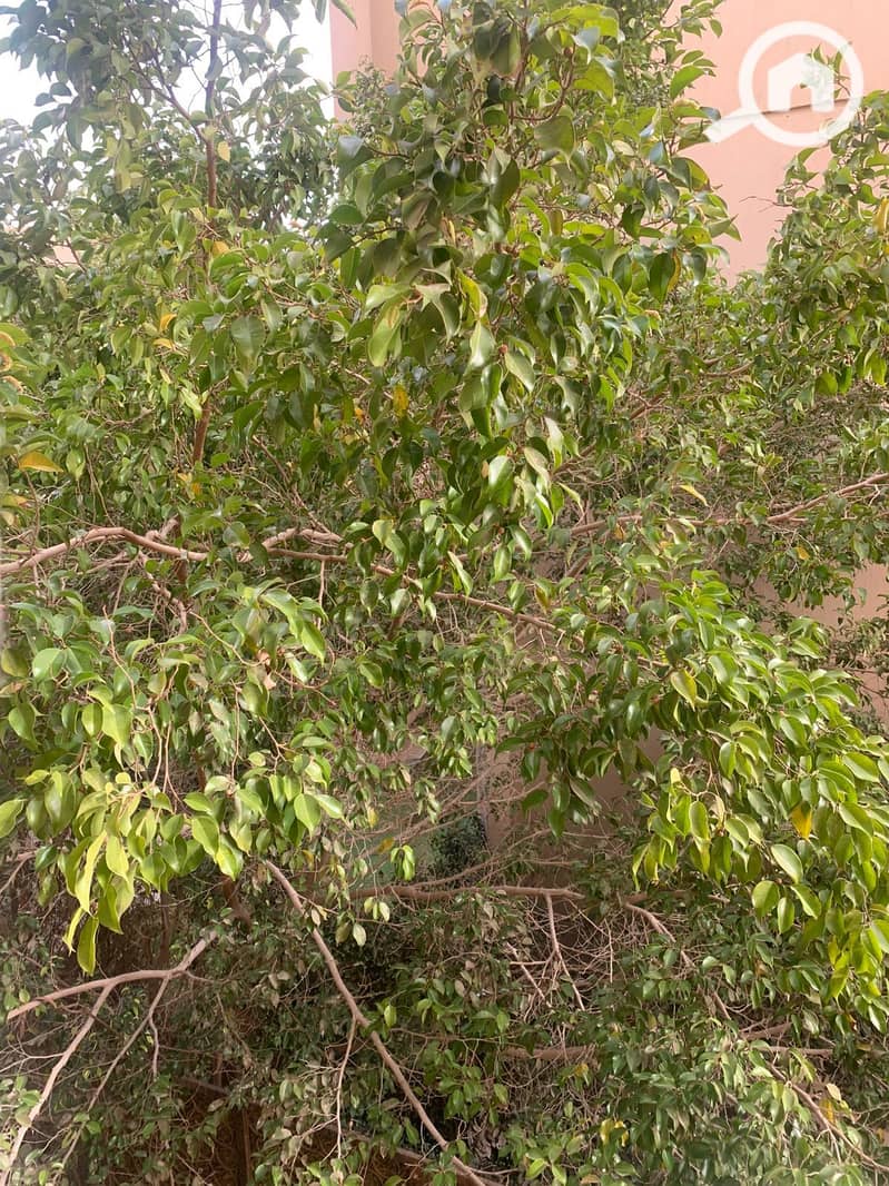 11 WhatsApp Image 2026-01-26 at 11.04. 45 AM. jpeg