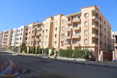 فلیٹ 3 غرف نوم للبيع في القاهرة الجديدة، القاهرة - IMG_1021. JPG