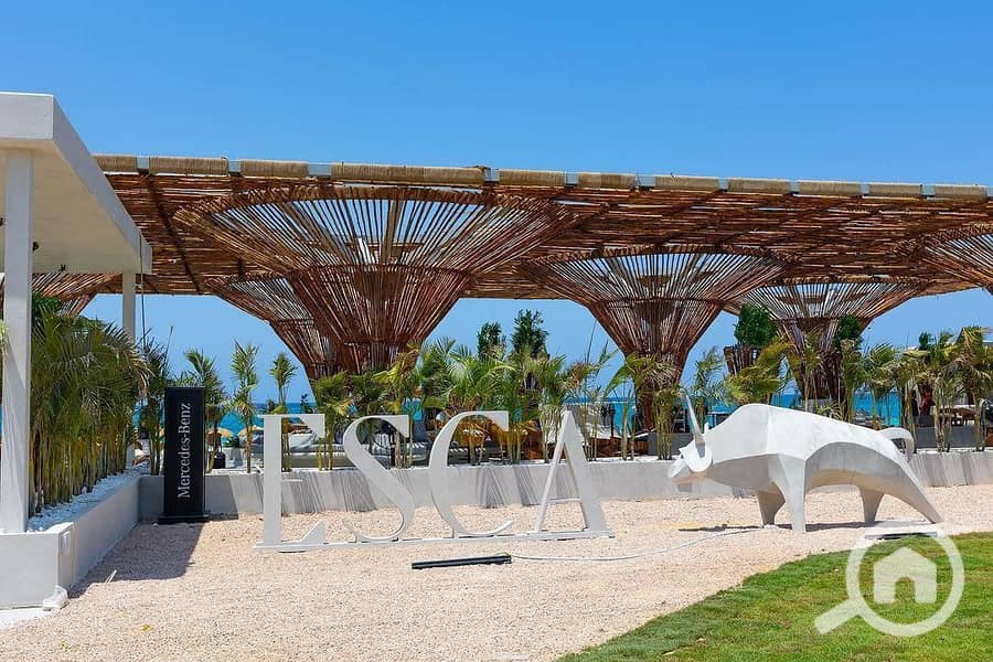 2 IMG-20250406-WA0029. jpg