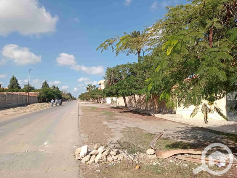 29 IMG20231201122907. jpg