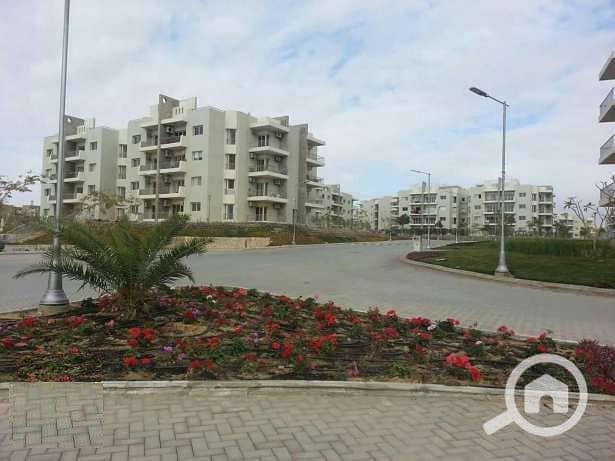 7 olxeg_2536944_8_1000x700. jpg