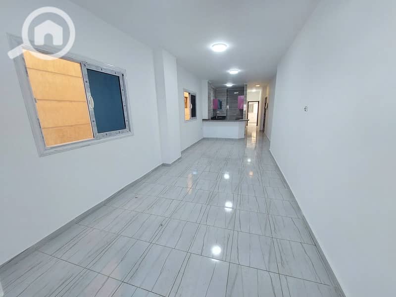 5 20251026_143602. jpg