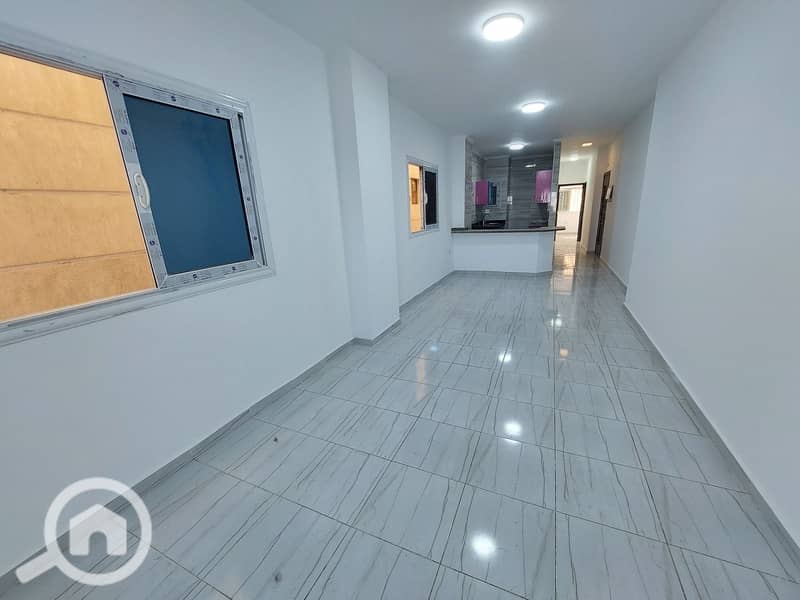 6 20251026_143611. jpg