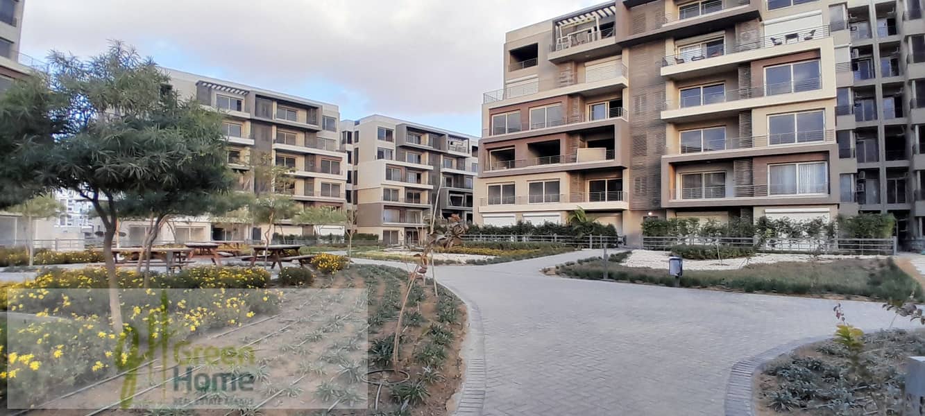 18 20260109_155935. jpg