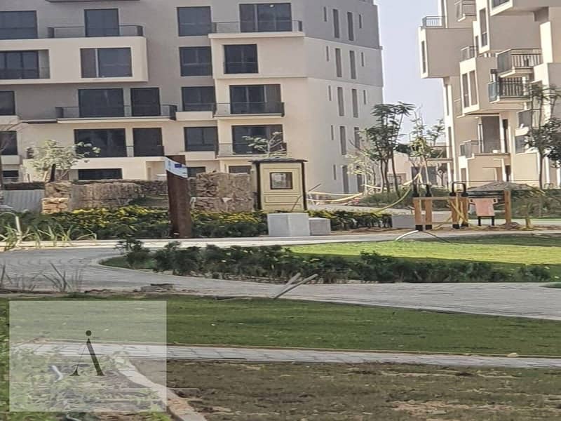 6 WhatsApp Image 2025-08-17 at 2.47. 33 PM (1). jpeg