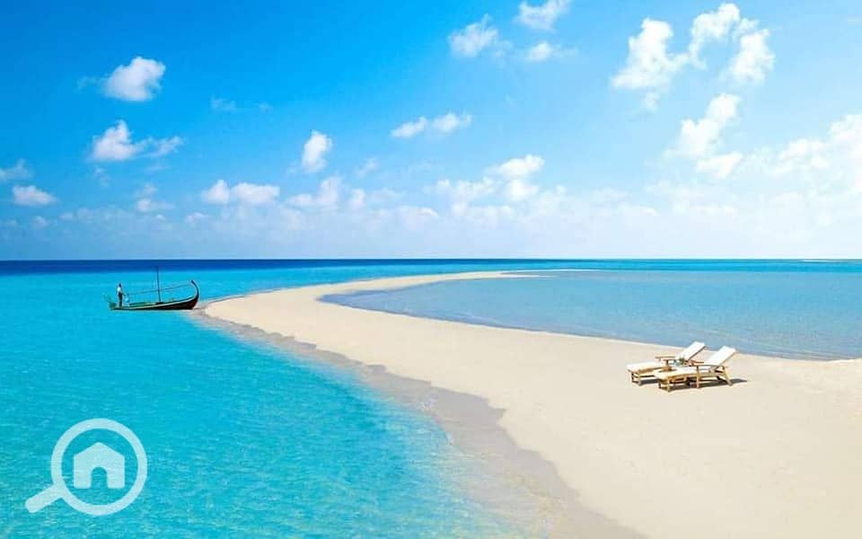 5 447752962_2213080189031086_7342983942870524293_n. jpg