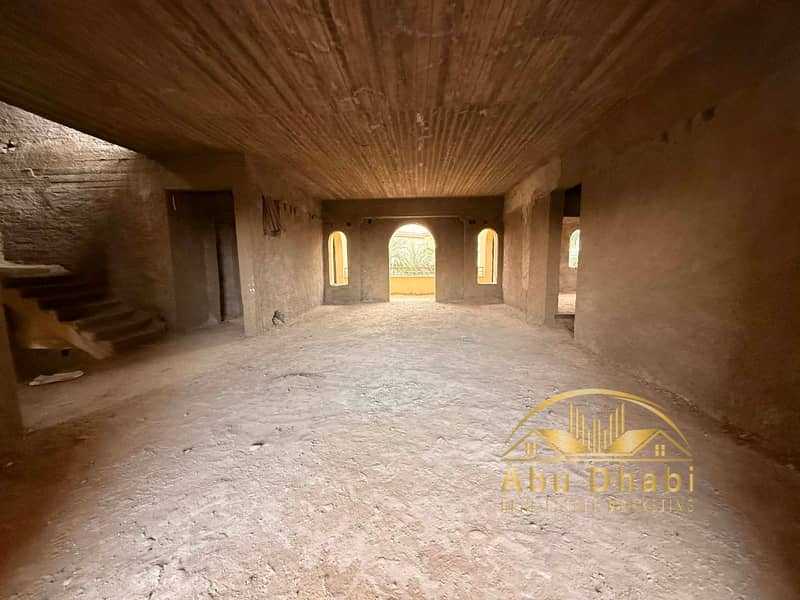 6 79451f0e-8a46-4c00-b32d-7741fbd46eba. jpg