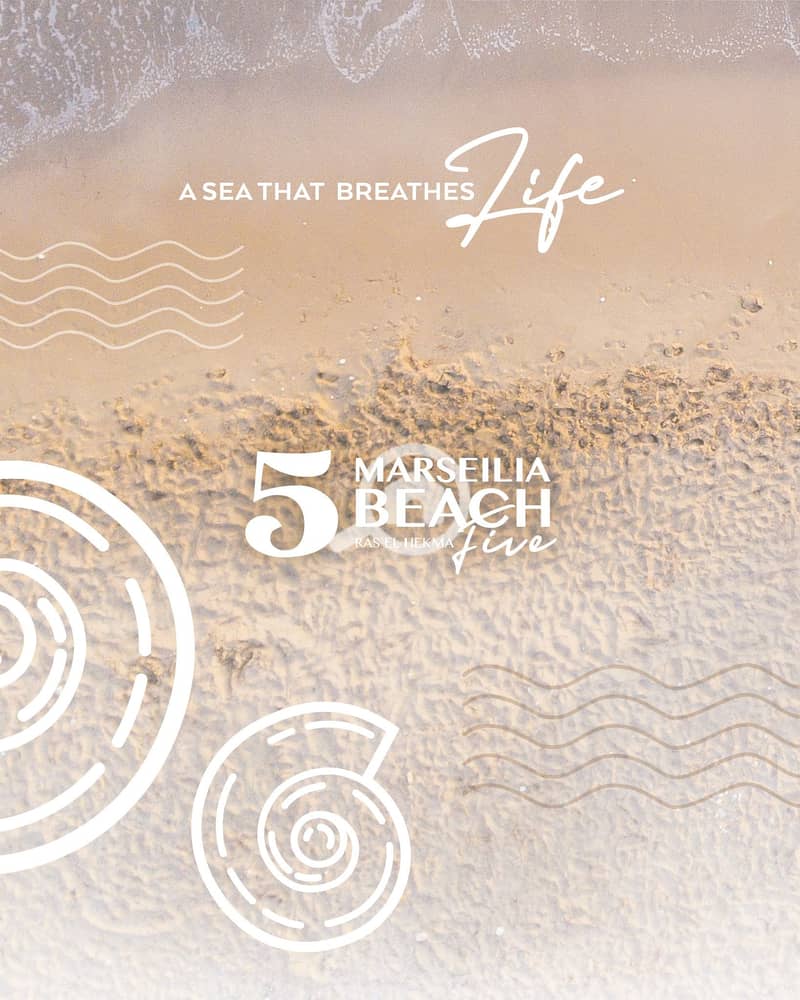 8 528694091_751749964281223_6935628100338871422_n. jpg