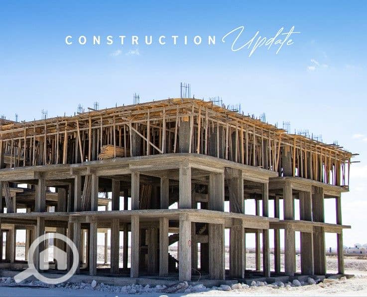 12 Screenshot 2026-01-26 123929. jpg