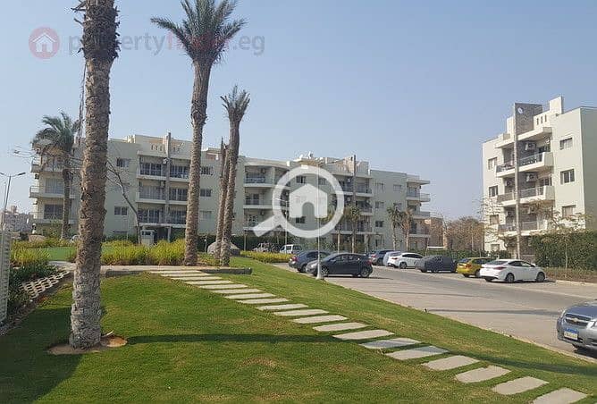 7 236902-5d91bo. jpg