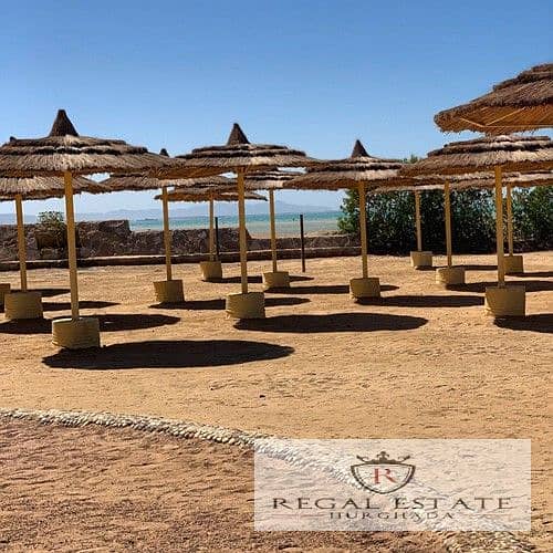 12 Nib7GhlfU_fss_05728_lg. jpg