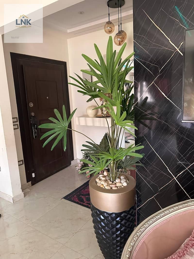 10 d0437ea2-50a5-4601-8a92-56ad28a8eb03. jpg