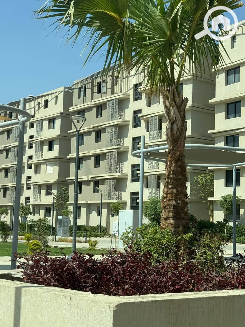 9 WhatsApp Image 2025-08-25 at 15.20. 15_9d39ca6f. jpg