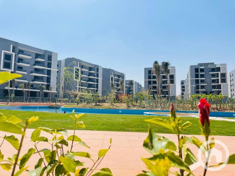 4 8e417d33-5b98-48ea-9f00-6d292515a203. jpg