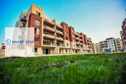 4 medium_DSC_4744-scaled. jpg