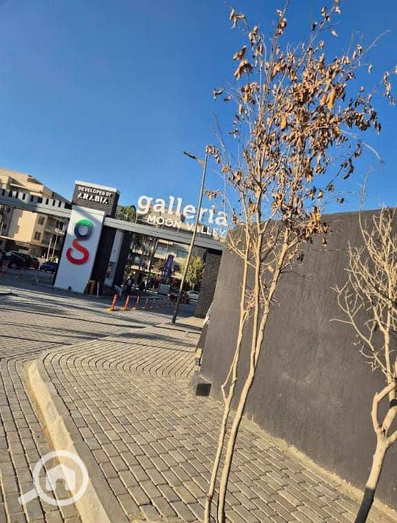 4 580066378_122158545716725424_735997023619804428_n. jpg