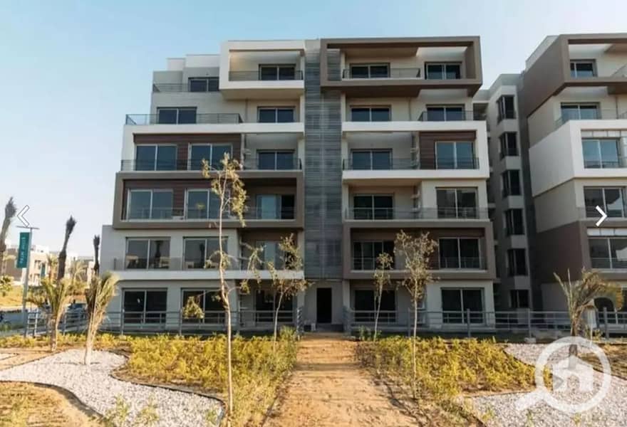 5 WhatsApp Image 2025-09-13 at 5.49. 08 PM (1). jpeg