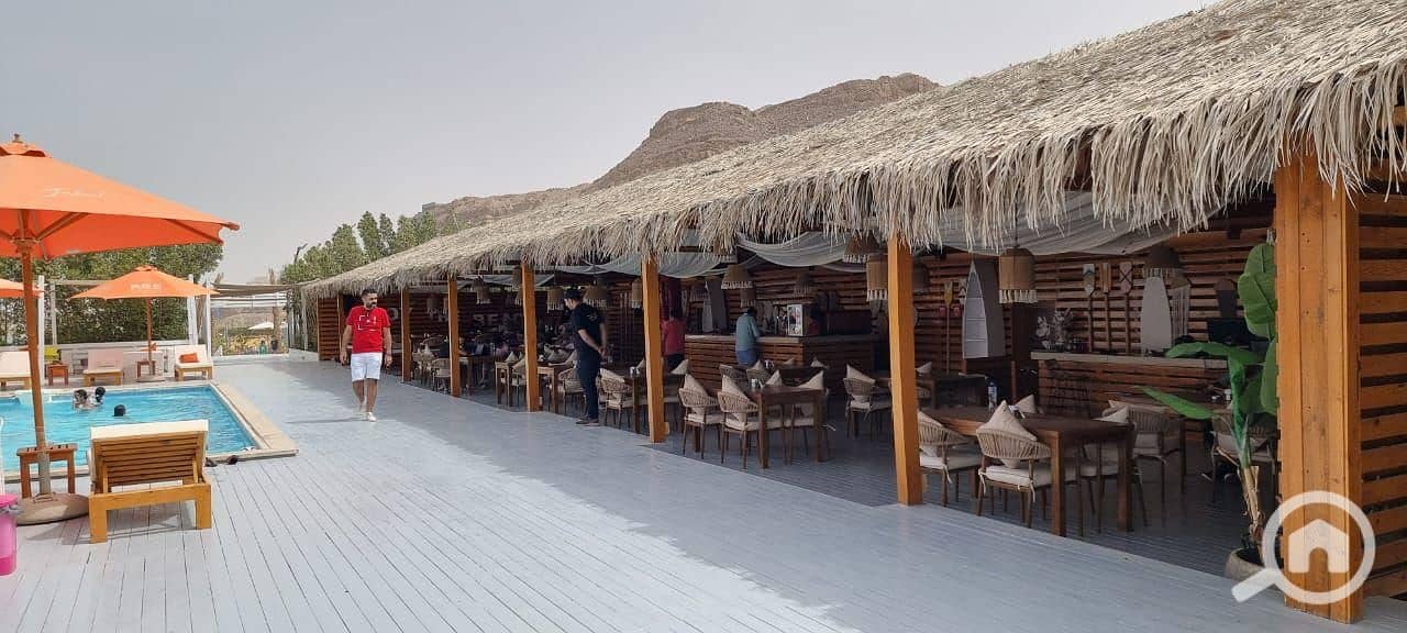 2 WhatsApp Image 2026-01-26 at 12.16. 07 PM (1). jpeg