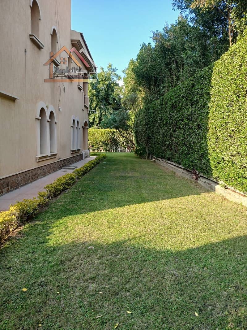 6 aee33564-9aab-4420-bc36-ce8f22d119b1. jpg