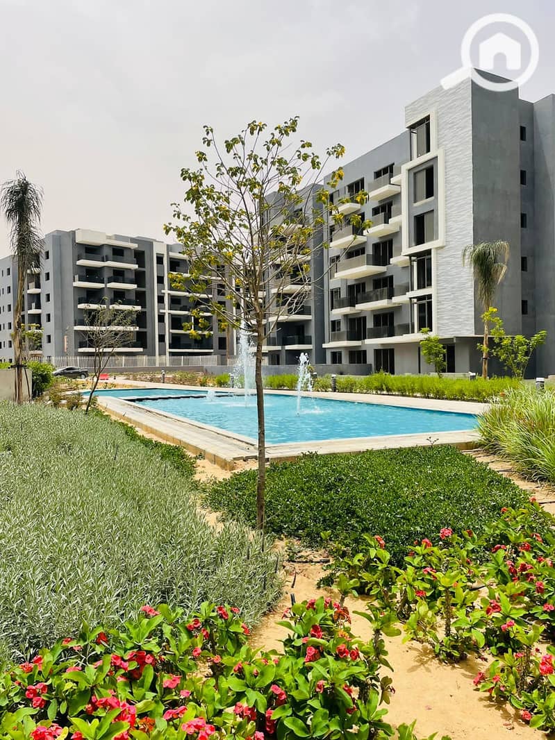 3 ba0f91ae-90d4-4d1c-8e22-a33dda3c2550. jpg