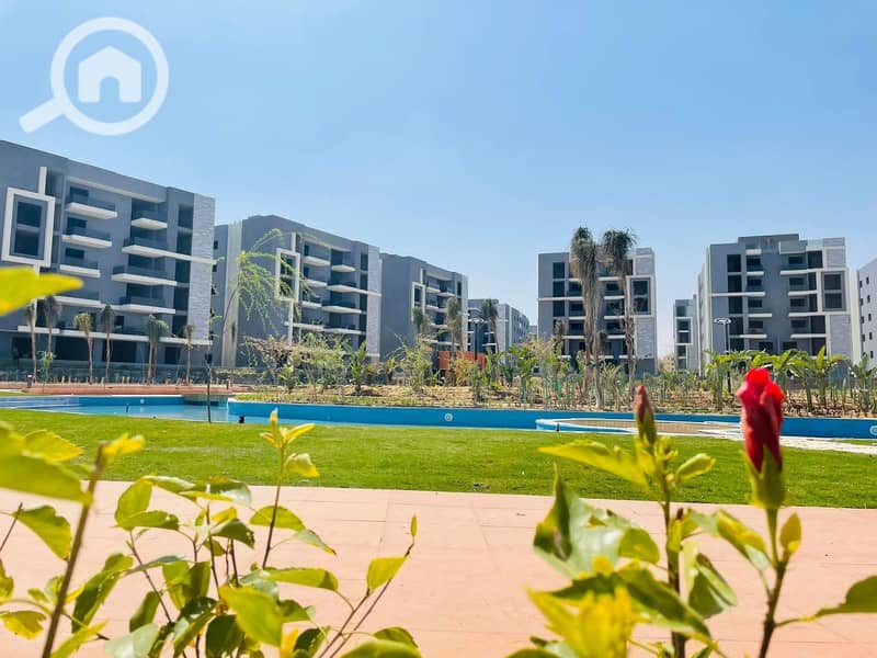 7 8e417d33-5b98-48ea-9f00-6d292515a203. jpg