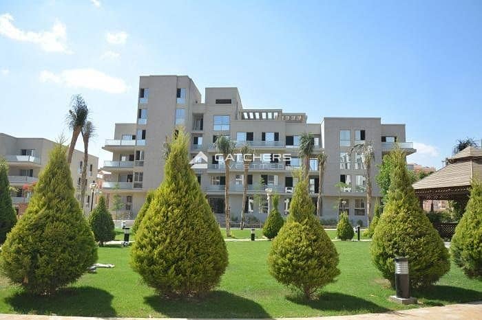 6 449177098_1139024957171892_4044460530608860279_n. jpg