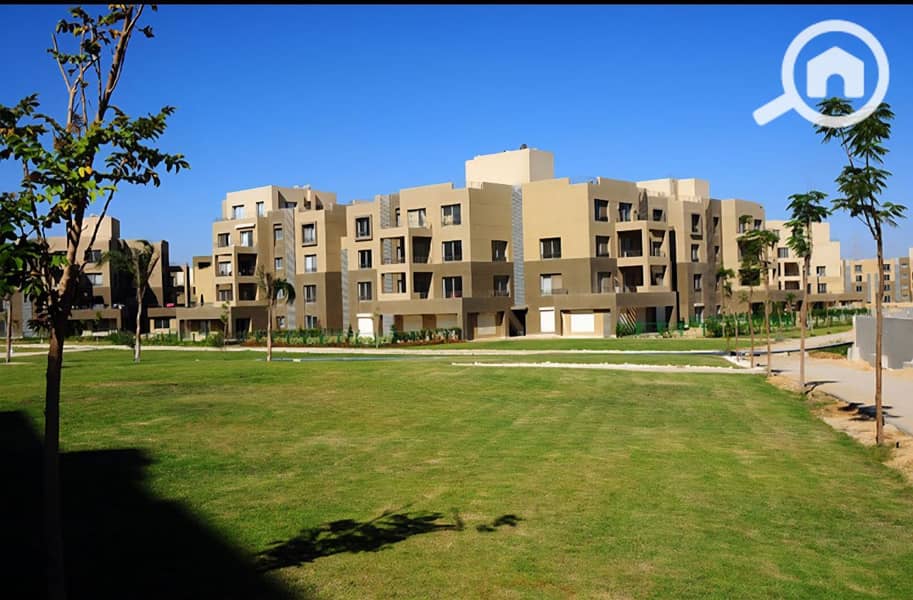 15 photo_20_2025-12-23_00-14-59. jpg