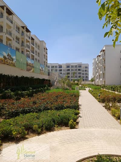 استوديو  للبيع في القاهرة الجديدة، القاهرة - WhatsApp Image 2025-07-30 at 16.46. 14_e7c05875. jpg