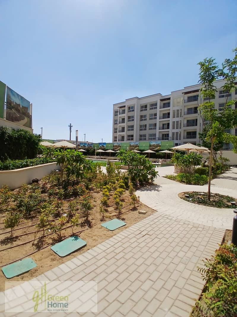 13 WhatsApp Image 2025-07-30 at 16.46. 05_b65c92a4. jpg