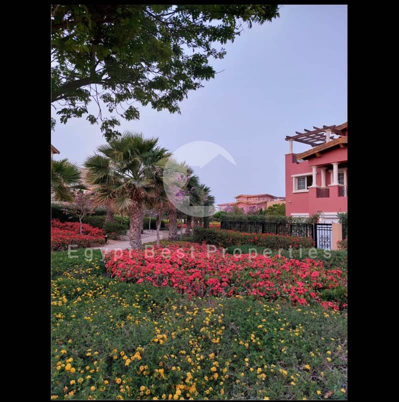 6 WhatsApp Image 2026-01-26 at 1.09. 58 PM. jpeg