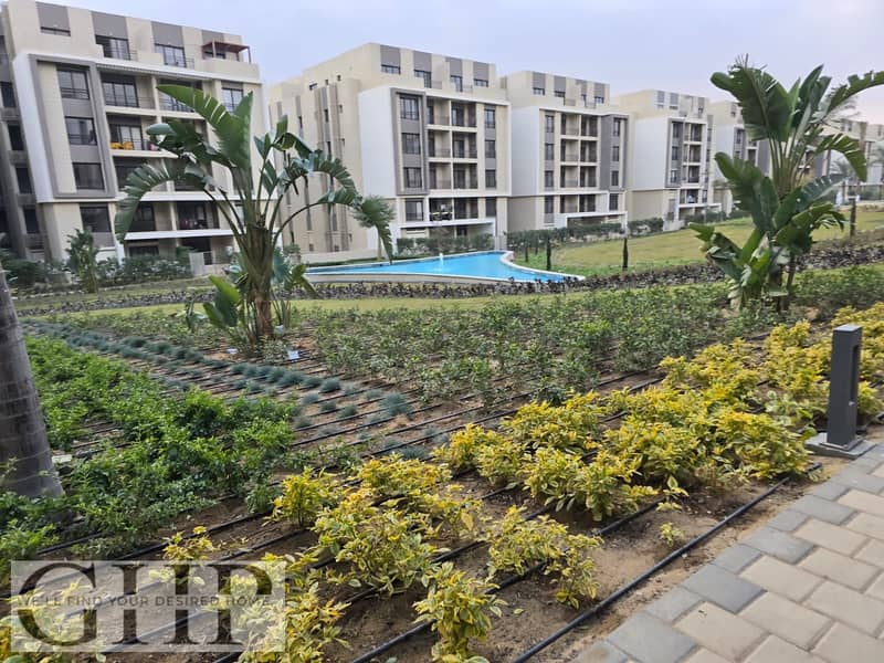 10 cce9a54c-00a0-4de4-b4bc-93045b0b6c7c. jpg