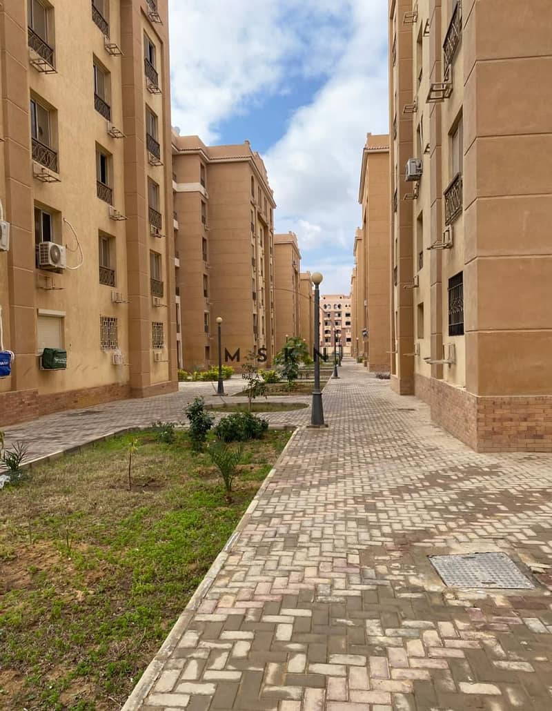 2 photo_2026-01-26 13.34. 20. jpeg