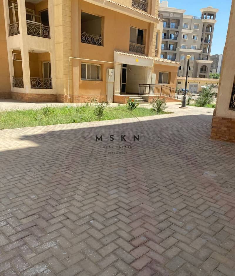 11 photo_2026-01-26 13.34. 23. jpeg