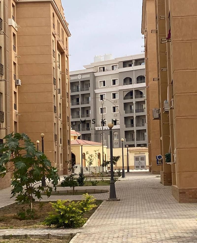 12 photo_2026-01-26 13.34. 22. jpeg