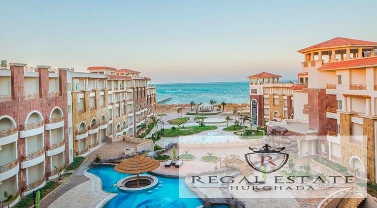 2 IMG-20241223-WA0016_2daad_lg. jpg