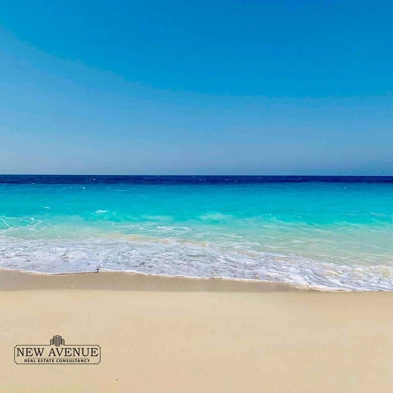 3 WhatsApp Image 2026-01-22 at 2.46. 16 PM (1). jpeg