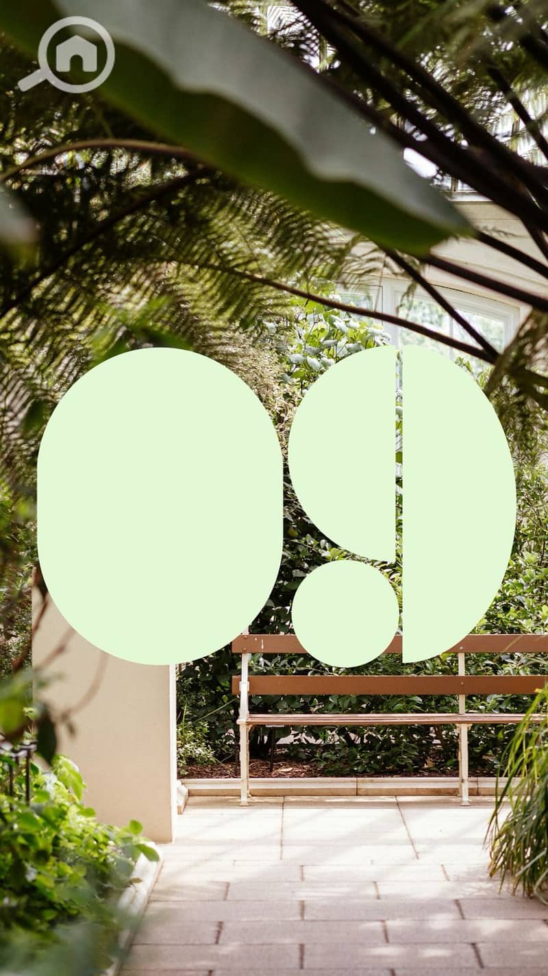 8 9d20599c-e5d4-4b7f-acdc-6cdbe1f3d7b9. jpg