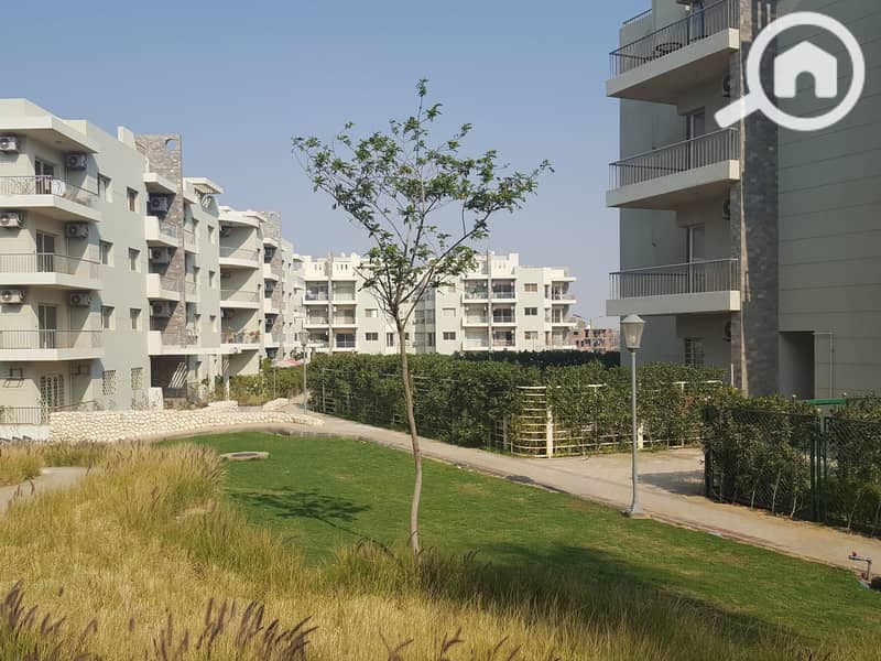 2 20170326_150842. jpg