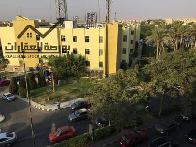 3 Bedroom Flat for Rent in New Cairo, Cairo - . trashed-1769502768-IMG-20251119-WA0008. jpg