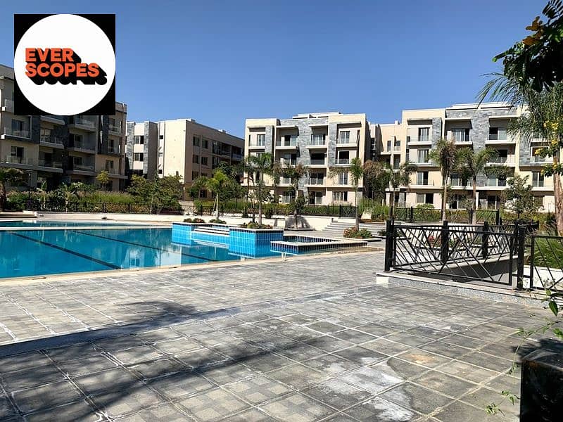 9 2020-02-07 (7). jpg