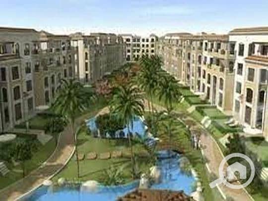 13 9087387b-784e-11ef-b4b1-ceec2d1902f0. jpeg