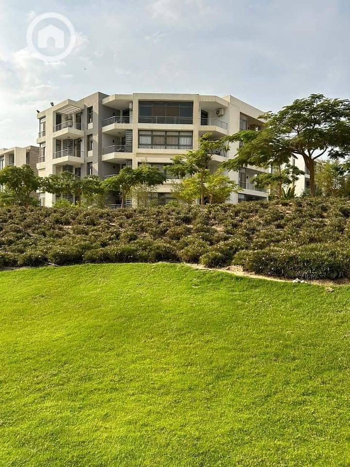 11 474200813_623496640055531_7948263219166568010_n. jpg