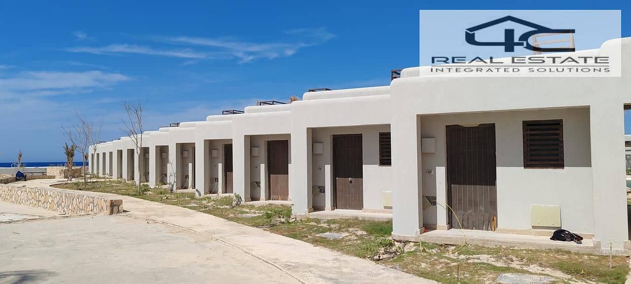 3 47d31900-393c-479d-b9ba-215733832cb9. jpeg