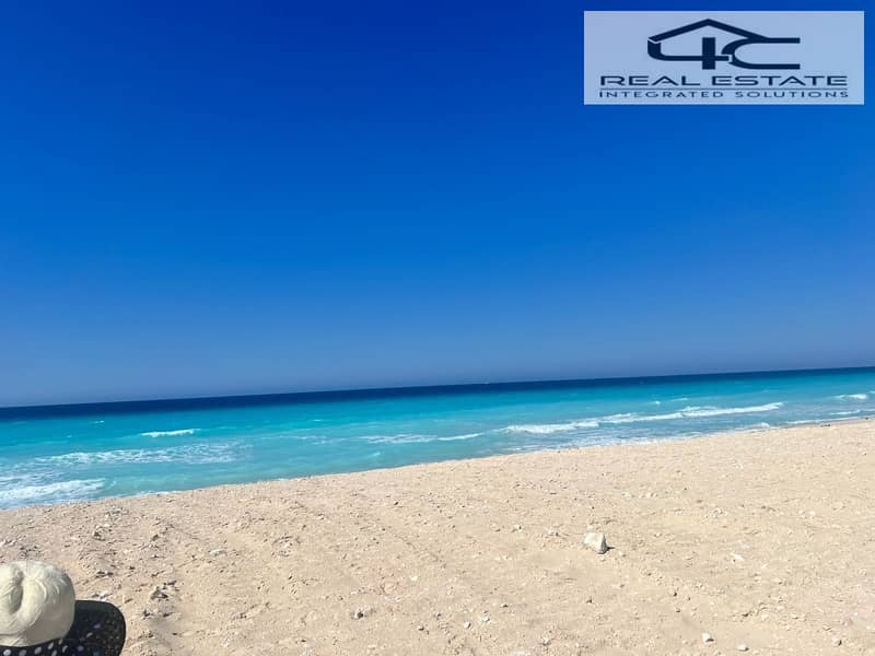 4 WhatsApp Image 2026-01-26 at 1.27. 41 PM (2). jpeg