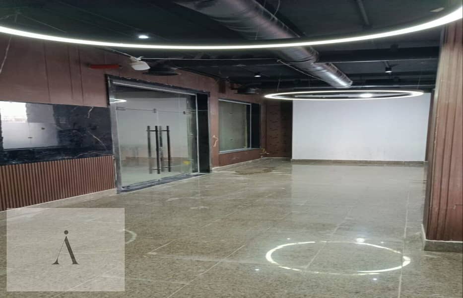 4 photo_1_2026-01-26_13-31-26. jpg