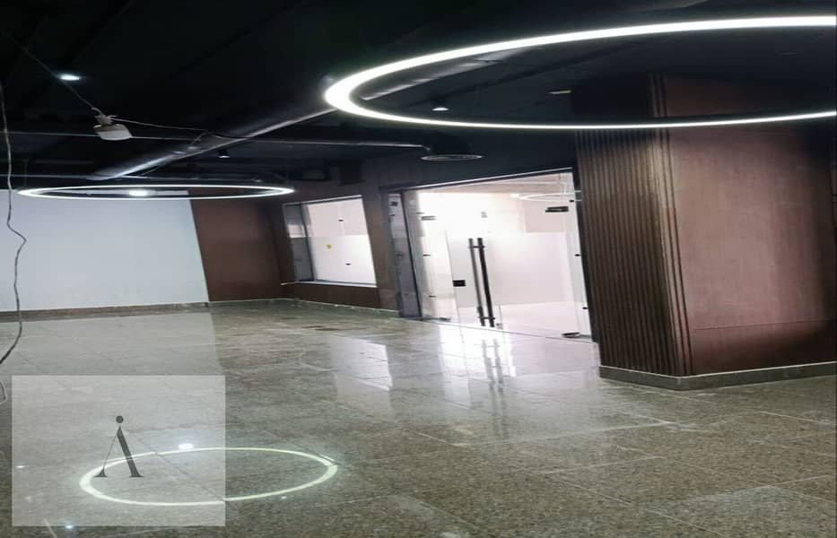 5 photo_3_2026-01-26_13-31-26. jpg