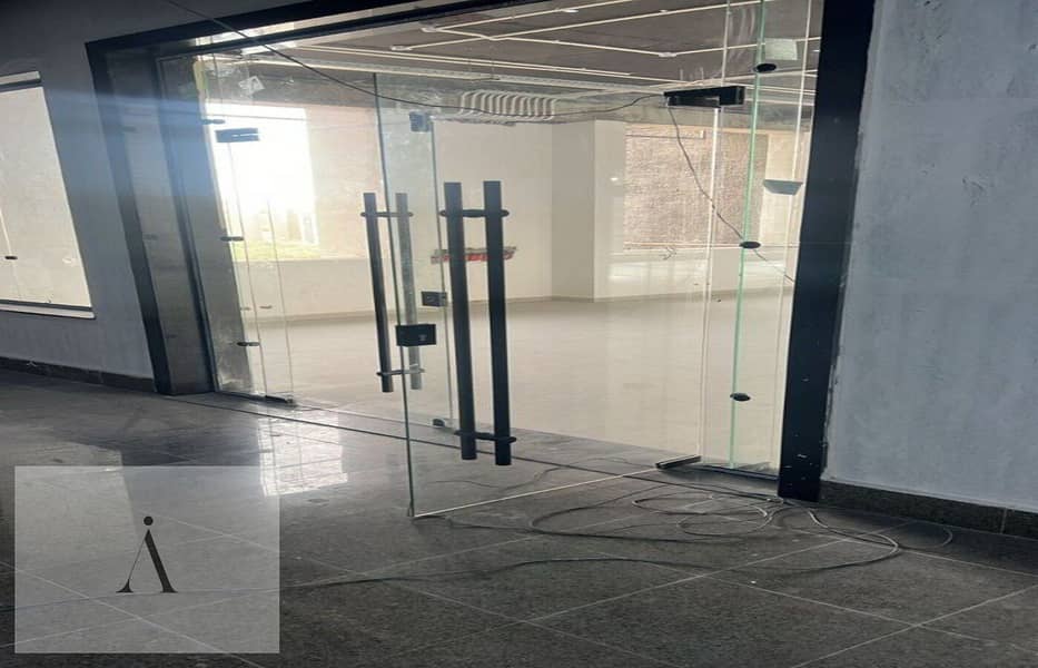 6 photo_6_2026-01-26_13-31-26. jpg