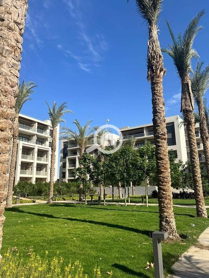 11 466251004_1281276959542383_5487134064853838588_n. jpg